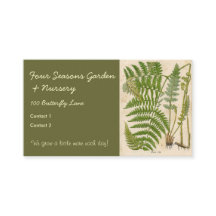 Vintage Botanicals Illustrations