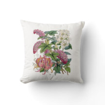 Vintage Botanicals Illustrations