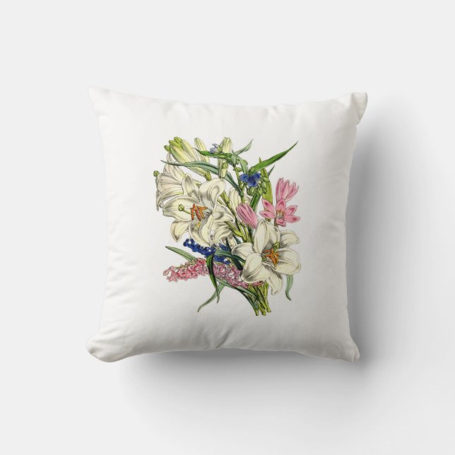 Vintage Botanicals Illustrations Cushion (Front)