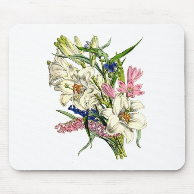 Vintage Botanicals Illustrations Mouse Mat (Front)
