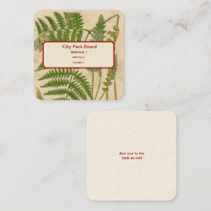 Vintage Botanicals Illustrations Square Business Card