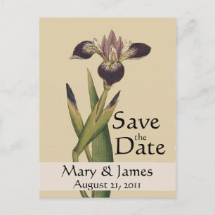 Vintage Botanicals Iris Save the Date Postcard