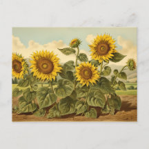 Vintage Botanicals Sunflower Garden