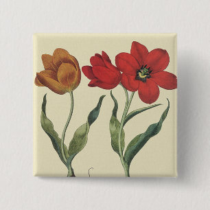 Vintage Botany, Blooming Tulip Flowers and Bulbs 15 Cm Square Badge