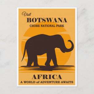 Vintage Botswana Africa National Park Elephant Postcard