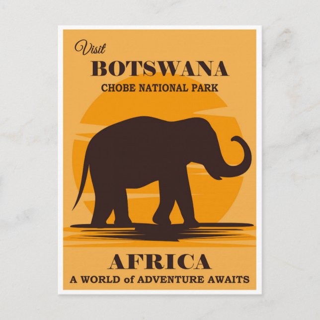Vintage Botswana Africa National Park Elephant Postcard (Front)