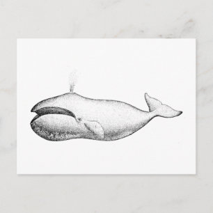 Vintage Bowhead Whale Illustration Postcard