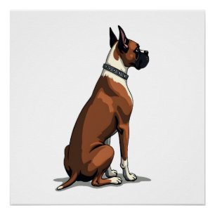Vintage Boxer Dog From Behind Illustration Brown W Poster