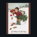 Vintage Boy With Christmas Tree Christmas Postcard<br><div class="desc">This postcard features a vintage illustration of a boy with a Christmas tree and a basket of apples and ornaments. 

Enjoy your new Vintage Boy With Christmas Tree Christmas Postcard!</div>