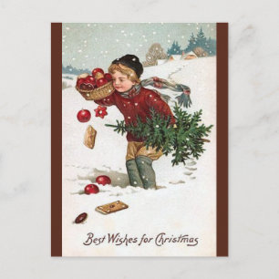 Vintage Boy With Christmas Tree Christmas Postcard