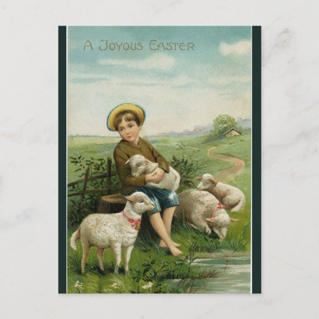 Vintage Boy With Lambs Easter Postcard (Front)