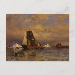 Vintage Bradford Looking out of Battle Harbour Postcard