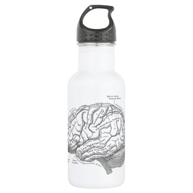 Vintage Brain Anatomy 532 Ml Water Bottle (Front)