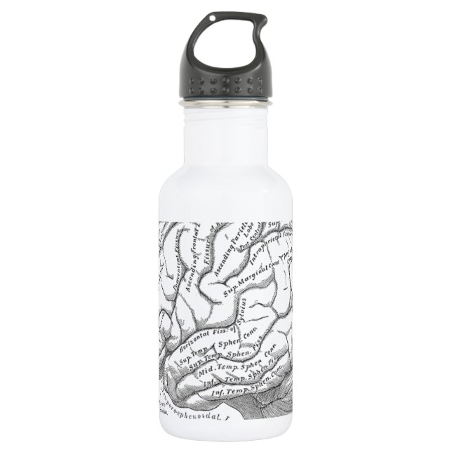 Vintage Brain Anatomy 532 Ml Water Bottle (Front)