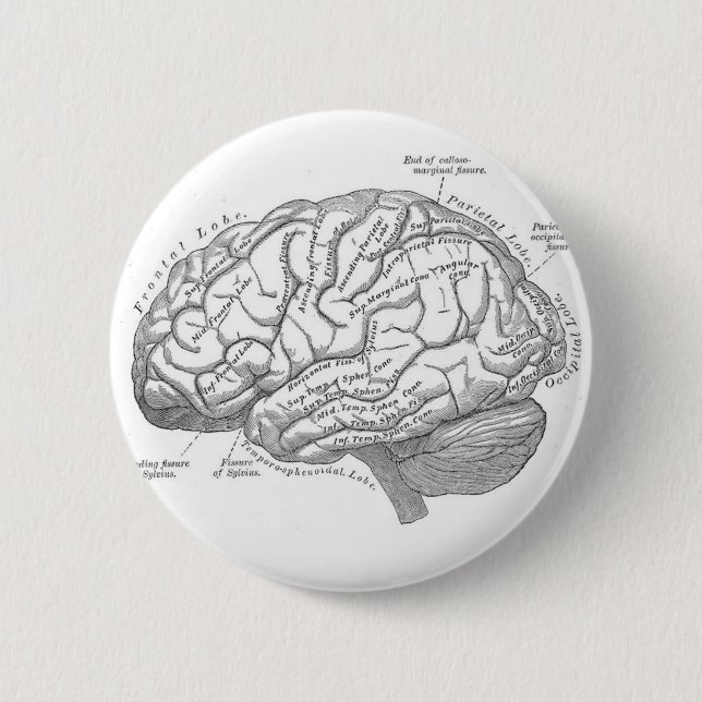 Vintage Brain Anatomy 6 Cm Round Badge (Front)