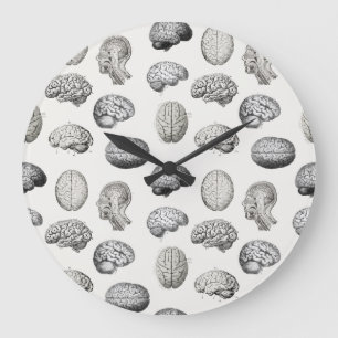 Vintage Brain Anatomy Biology Illustrations Large Clock