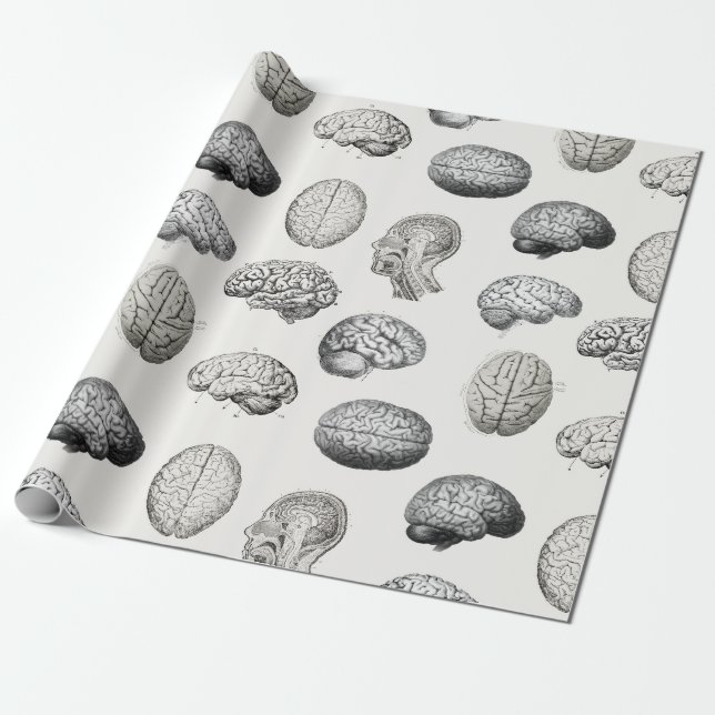 Vintage Brain Anatomy Biology Illustrations Wrapping Paper (Unrolled)