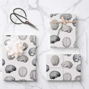 Vintage Brain Anatomy Biology Illustrations Wrapping Paper Sheet