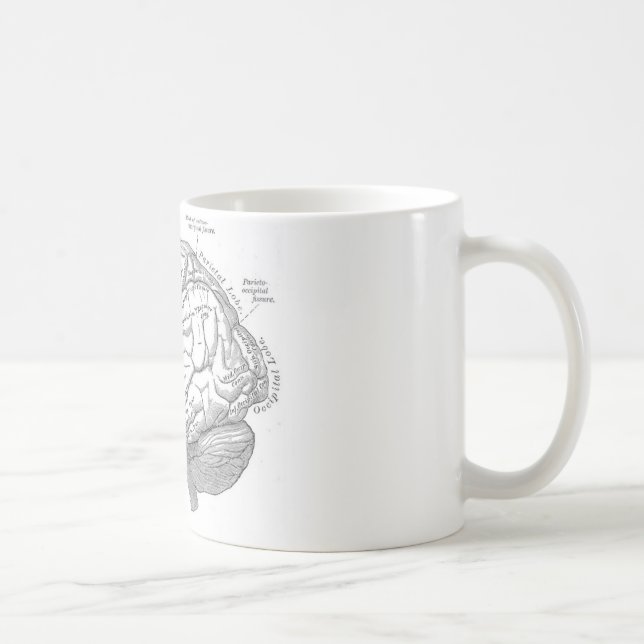 Vintage Brain Anatomy Coffee Mug (Right)