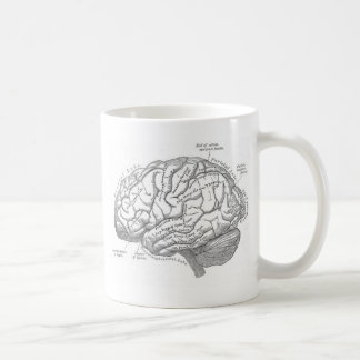 Vintage Brain Anatomy Coffee Mug