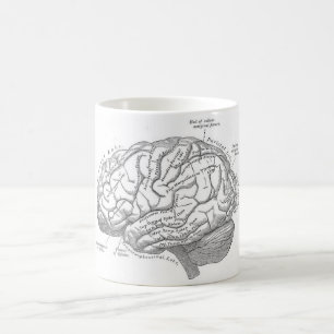 Vintage Brain Anatomy Coffee Mug