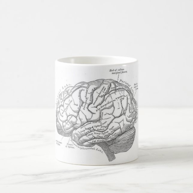 Vintage Brain Anatomy Coffee Mug (Center)