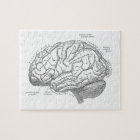 Vintage Brain Anatomy