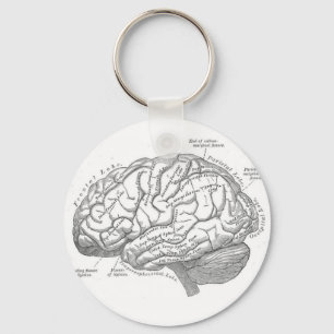 Vintage Brain Anatomy Key Ring