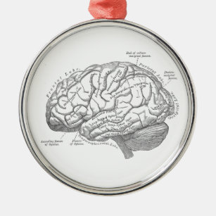 Vintage Brain Anatomy Metal Tree Decoration