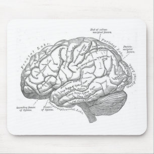 Vintage Brain Anatomy Mouse Mat