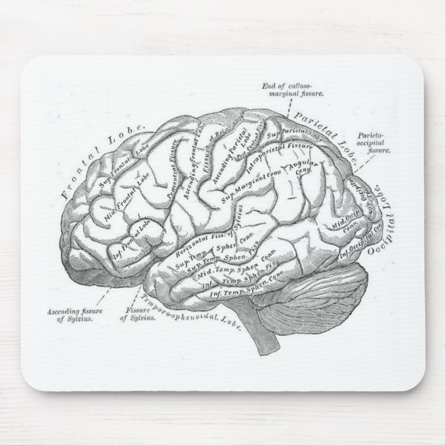 Vintage Brain Anatomy Mouse Mat (Front)