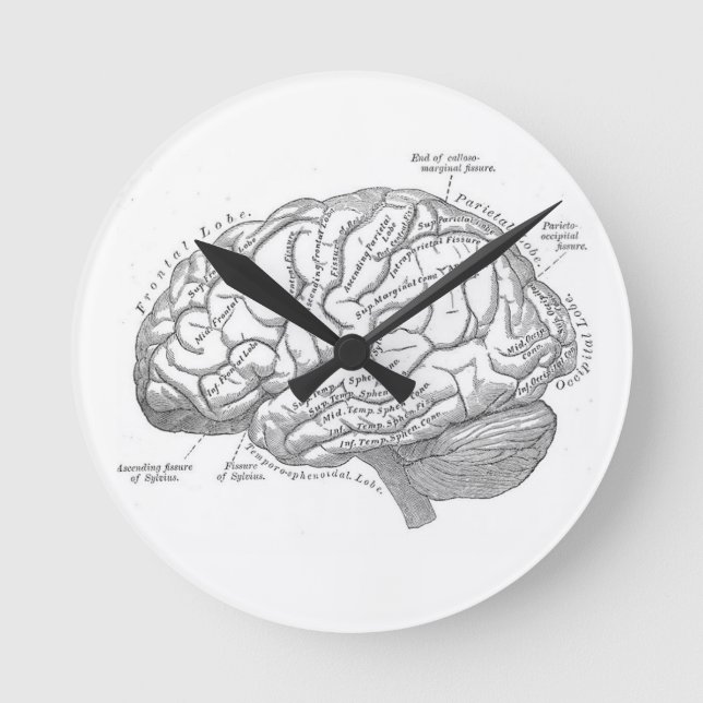 Vintage Brain Anatomy Round Clock (Front)