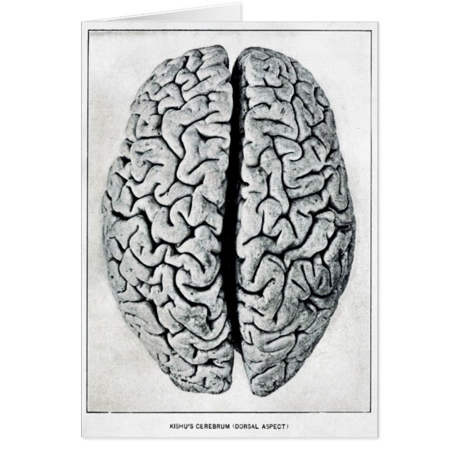 Vintage Brain Card (Front)