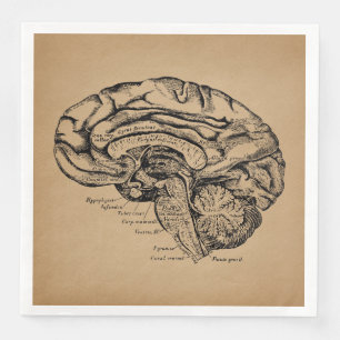 Vintage Brain Diagram Antique Medical Anatomy Art Napkin