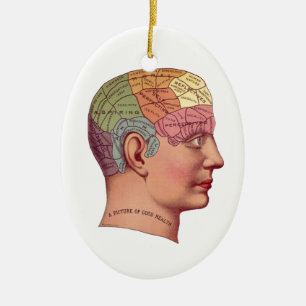 Vintage Brain Function Illustration Ceramic Tree Decoration