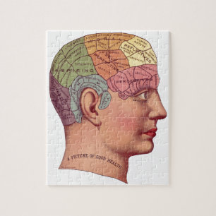 Vintage Brain Function Illustration Jigsaw Puzzle