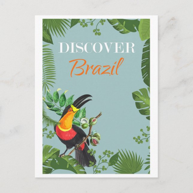 Vintage Brazil Toucan Rainforest Travel Postcard (Front)
