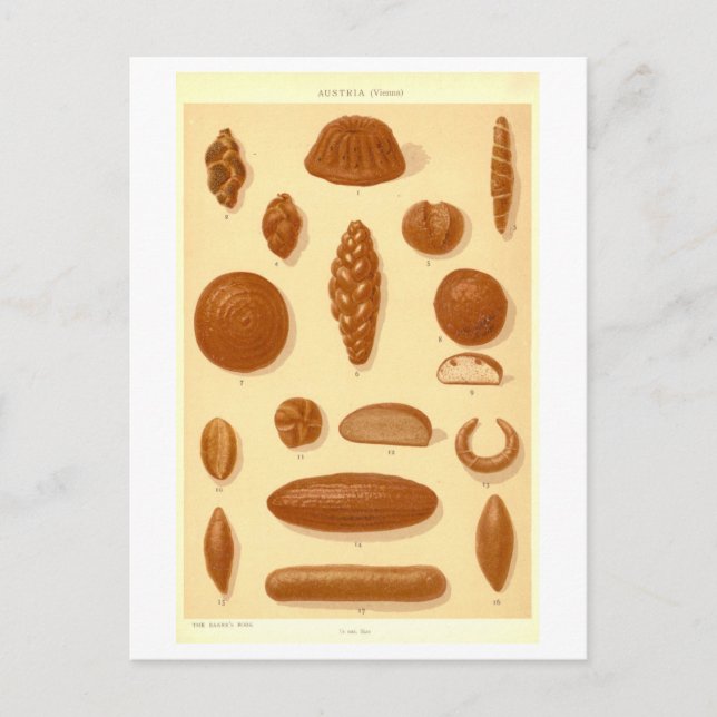 Vintage Breads of Austria Postcard (Front)
