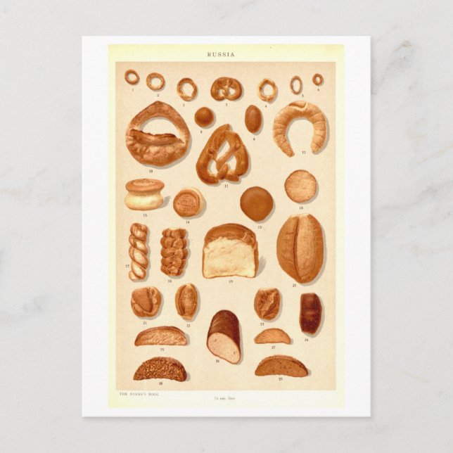 Vintage Breads of Russia Postcard (Front)