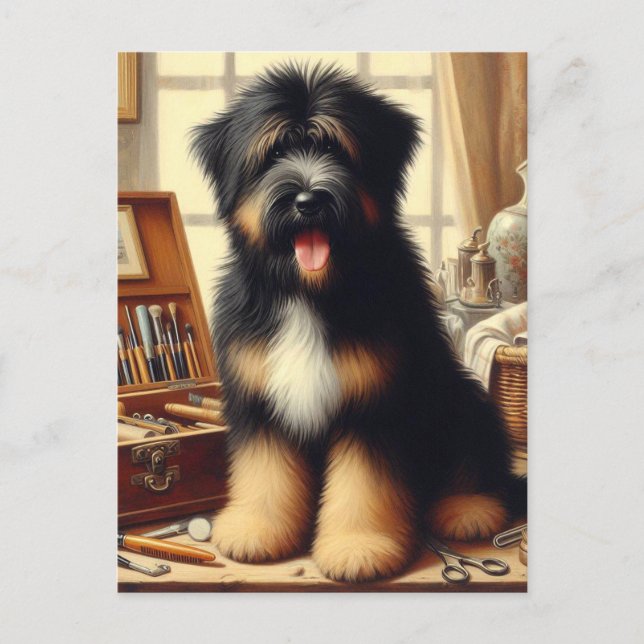 Vintage Briard Dog Painting Postcard (Front)