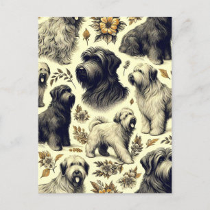 Vintage Briard Dog Seamless Postcard