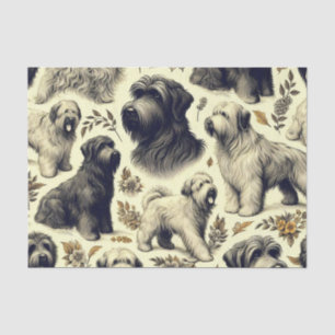 Vintage Briard Dog Seamless Tissue Paper