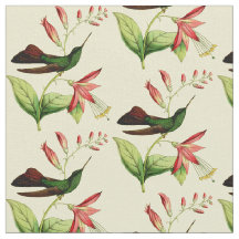 Vintage Bronze Tailed Plumeleteer Hummingbird