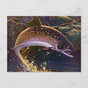 Vintage Brook Trout Fish Fisherman, Sports Fishing Postcard