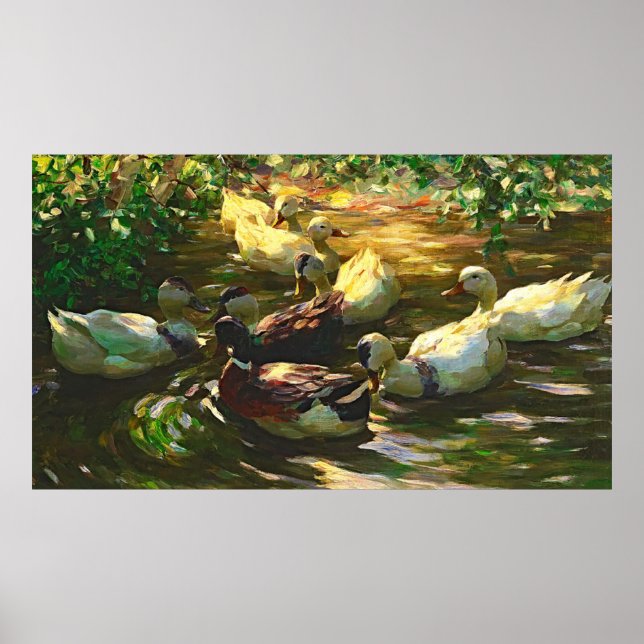 Vintage Brown And White Ducks In a Pond Poster (Front)