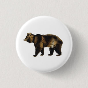 Vintage Brown Bear 1849 Book Illustration Pin