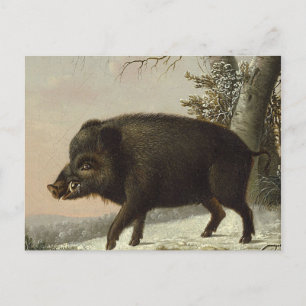 Vintage Brown Boar Hunting Painting, Wildlife Art Postcard