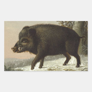 Vintage Brown Boar Hunting Painting, Wildlife Art Rectangular Sticker