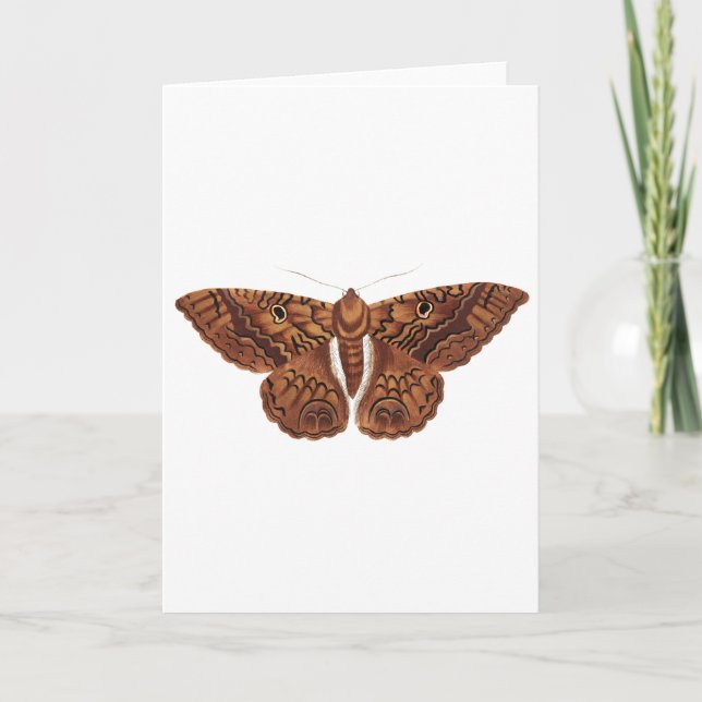 Vintage Brown Butterfly Card (Front)