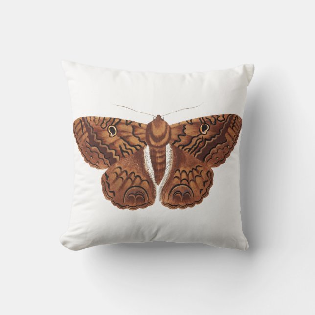 Vintage Brown Butterfly Illustration Cushion (Front)